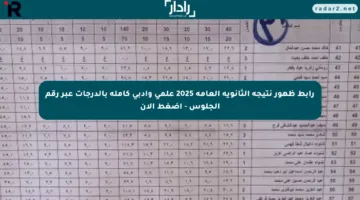 رابط ظهور نتيجة الثانوية العامة 2025 علمي وأدبي كاملة بالدرجات عبر رقم الجلوس – اضغط الآن